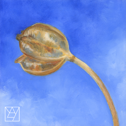 実の野望の画像